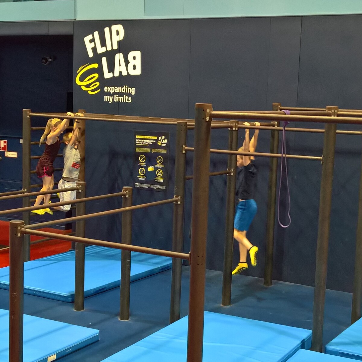 Flip Lab ~ VS Schwechat Frauenfeld